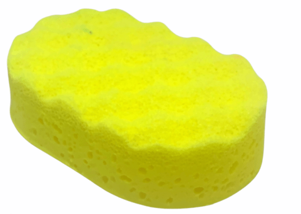Lady Mill Exfoliating Sponge