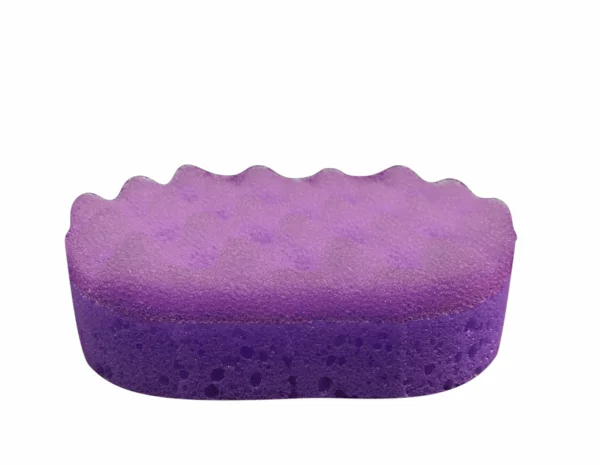 sponge