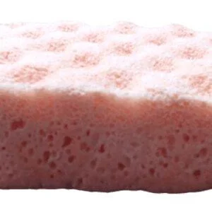Fruit Salad Exfoliating Sponge