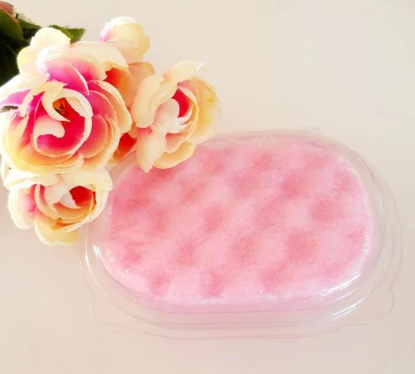 Sponge storage box