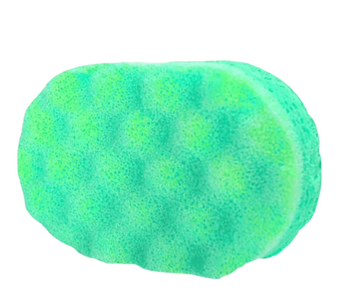 Mediterranean exfoliating sponge