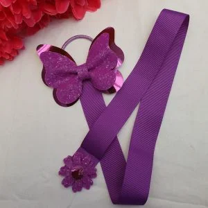 Purple butterfly bow holder